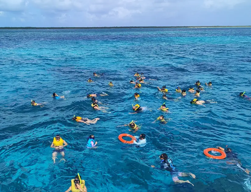 Cozumel & El Cielo Premium: Excursão Exclusiva com guia em Português - Image 4