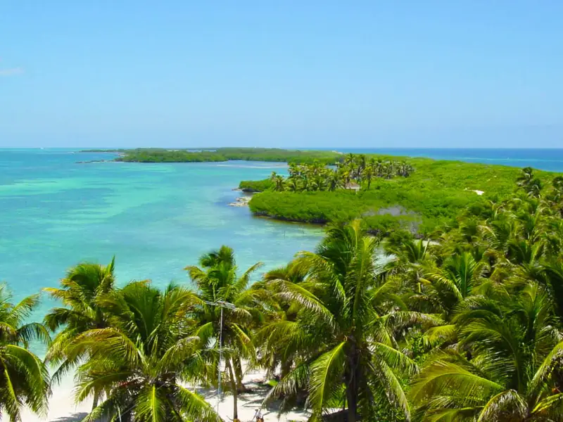 Excursão Isla Contoy Mujeres - Vista aérea da natureza virgem e águas cristalinas em Isla Contoy