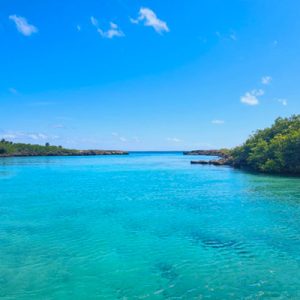 Akumal + Casa Tortuga + Buffet de Tacos (em português) - Image 3