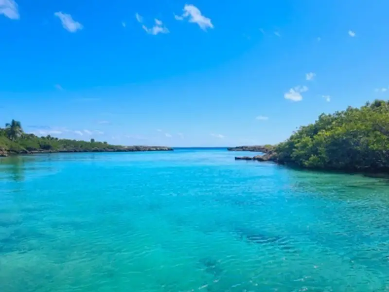 Snorkel em Akumal – Lagoa Virgem, Tartarugas, 4 Cenotes + Buffet de Tacos com guia Português - Image 4