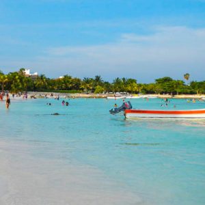 Akumal + Casa Tortuga + Buffet de Tacos (em português) - Image 5