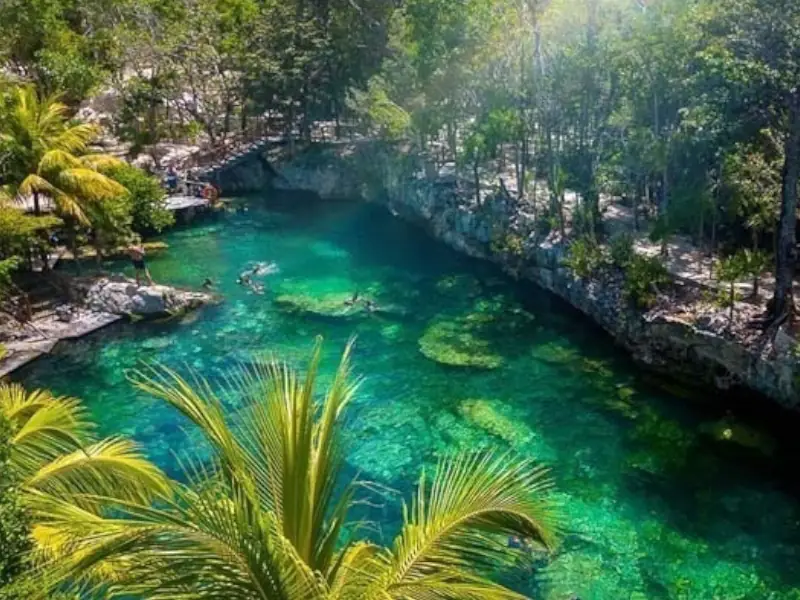 Casa Tortuga – 4 Cenotes & Aventura no Coração da Selva - Image 2