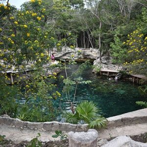 Casa Tortuga – 4 Cenotes & Aventura no Coração da Selva - Imagen 3