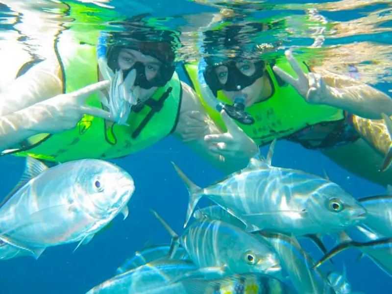 Cozumel & El Cielo Premium: Excursão Exclusiva com guia em Português - Image 2