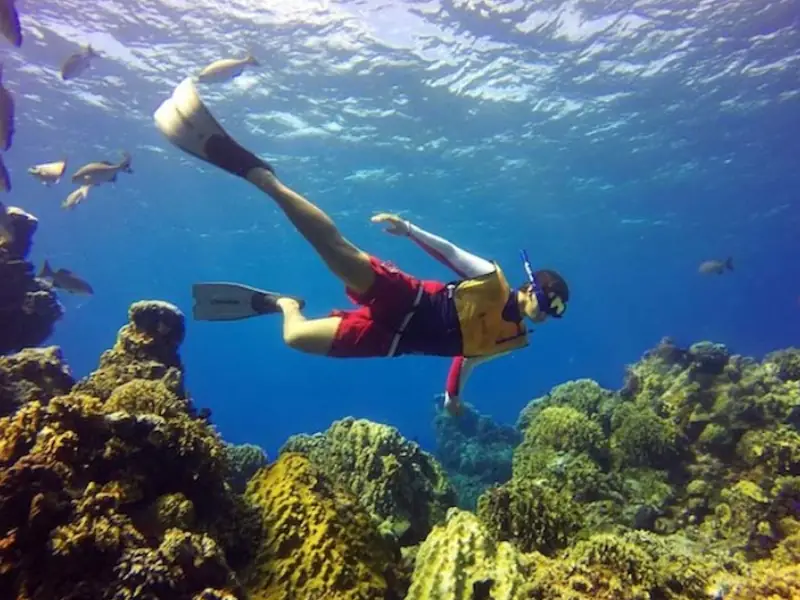Cozumel & El Cielo Premium: Excursão Exclusiva com guia em Português - Image 4