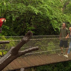 Xcaret Plus - Imagen 2