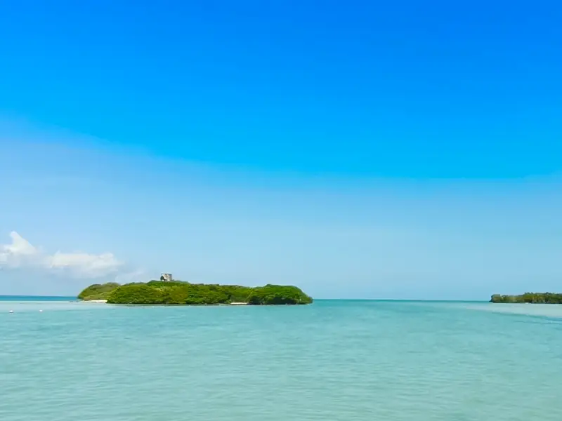 Holbox – Ilha natural e natureza selvagem Premium em Português - Image 2