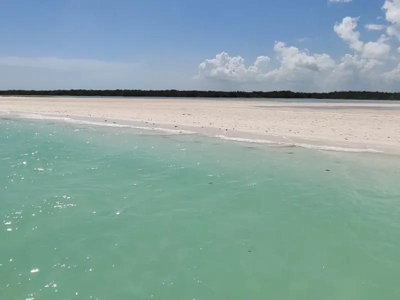 Holbox – Ilha natural e natureza selvagem Premium em Português - Image 3