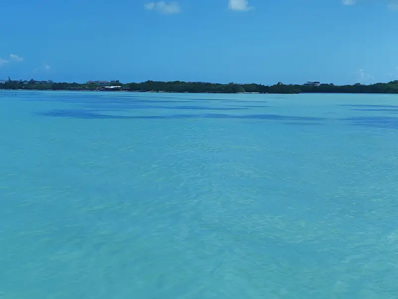 Holbox – Ilha natural e natureza selvagem Premium em Português - Image 4