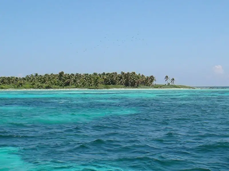 Isla Contoy + Isla Mujeres + Snorkel: Ilhas paradisíacas - Image 2