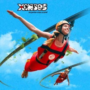 Xenses - Imagen 6