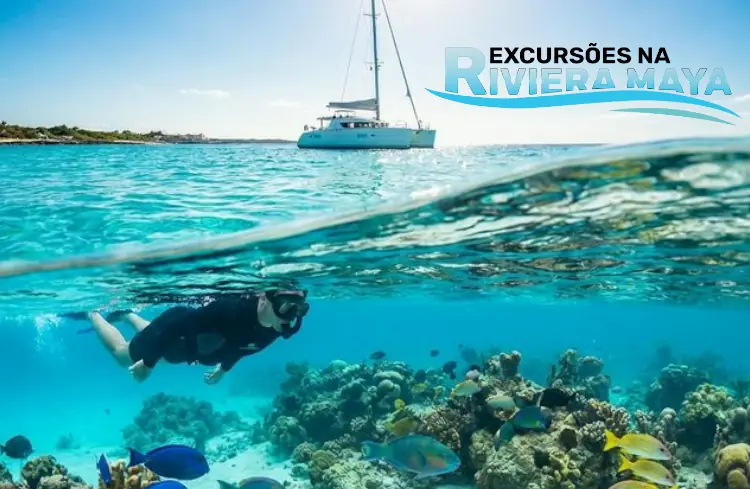 Vista dividida acima e abaixo de água em Cozumel, México — catamaran à superfície e snorkeler explorando um recife de coral com peixes tropicais e estrelas-do-mar no fundo