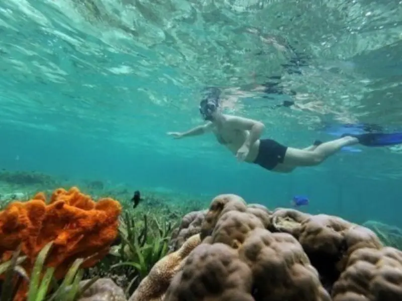 Isla Contoy + Isla Mujeres + Snorkel: Ilhas paradisíacas - Image 3